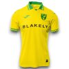 Camiseta Norwich City 2025-2026 Local