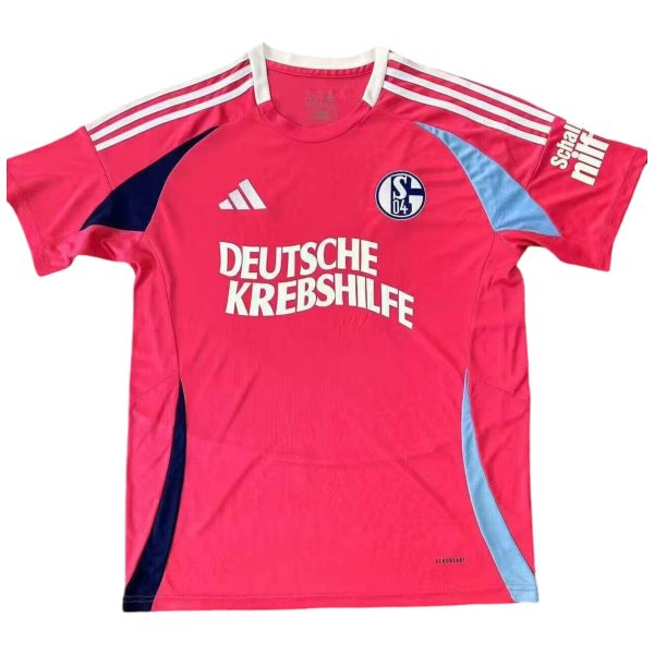 Camiseta Schalke 04 2024-2025 Portero Pink October