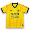 Camiseta Hellas Verona 2024-2025 Alternativo 2