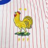 Camiseta Francia 2024-2025 Visitante – Version Pro Player