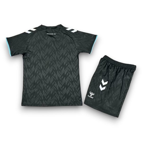 Camiseta Werder Bremen 2024-2025 Alternativa