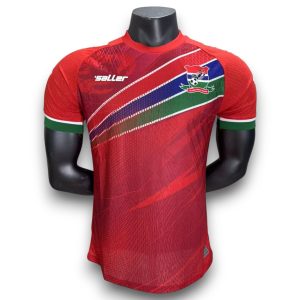 60805ca6.jpg Camiseta Gambia 2025-2026 Local – Version Pro Player