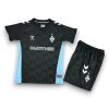 Camiseta Werder Bremen 2024-2025 Alternativa