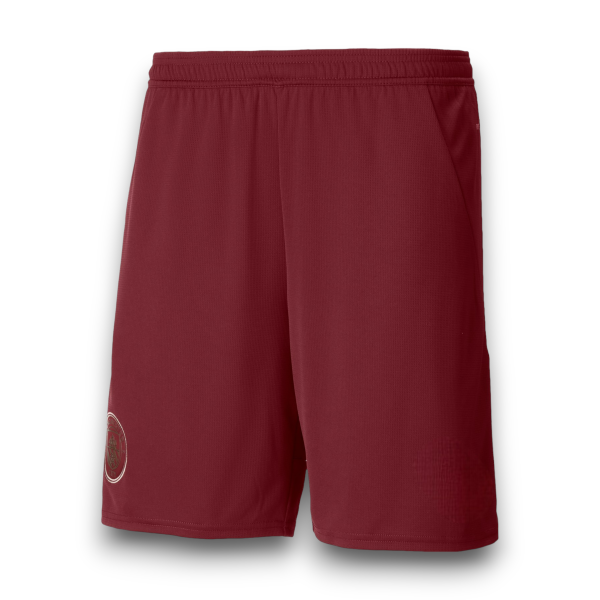 Pantalón corto Manchester City 2024-2025  Alternativa