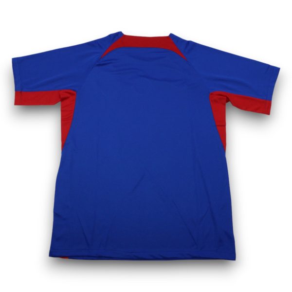 Camiseta Eslovaquia 2024-2025 Local