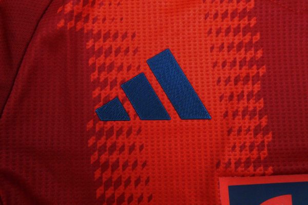 Camiseta Bayern Munich 2024-2025 Local – Version Pro Player