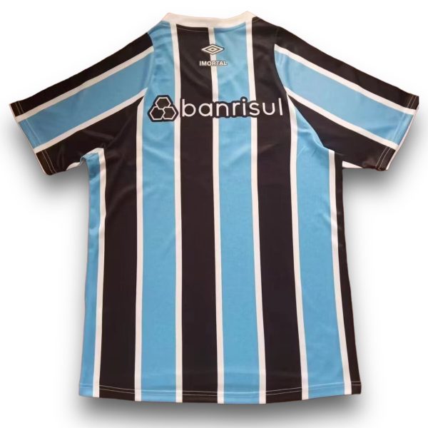 C867D5BC-7683-495E-8192-347F1FA44ADB.jpg Camiseta Gremio 2024-2025 Local
