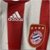 IMG-0389-Photoroom.jpg Camiseta Bayern Múnich 2009-2010 Local Manga Larga