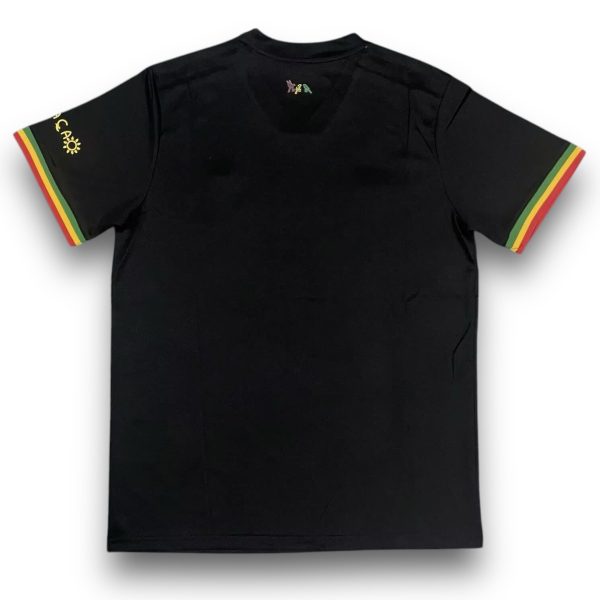 IMG-5287.jpg Camiseta AJX 2021-2022 Alternativa