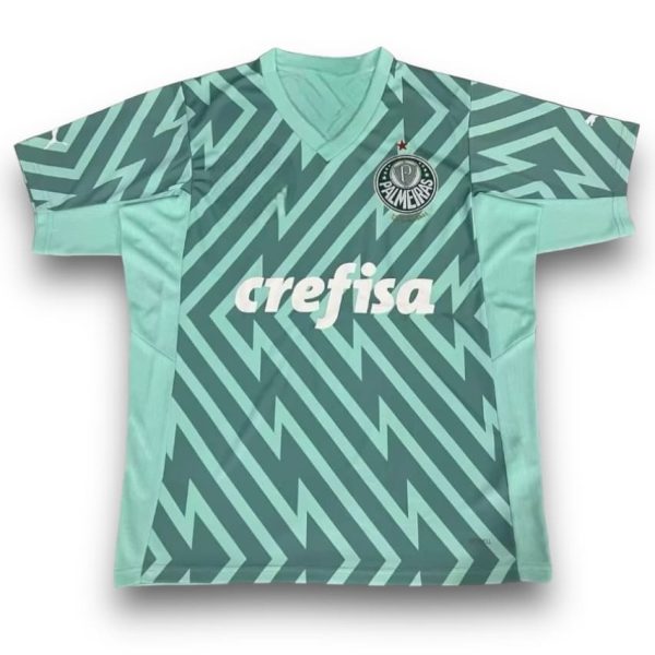 IMG_6975.jpg Camiseta Palmeiras 2024-2025 Portero Local