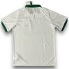 Camiseta Palmeiras 2023-2024 110th Aniversario