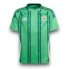 IMG_7460.jpg Camiseta Irlanda del Norte 2024-2025 Local