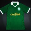 Camiseta Palmeiras 2024-2025 Local – Versión Pro Player