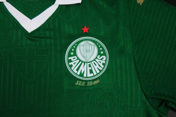 Camiseta Palmeiras 2024-2025 Local – Versión Pro Player