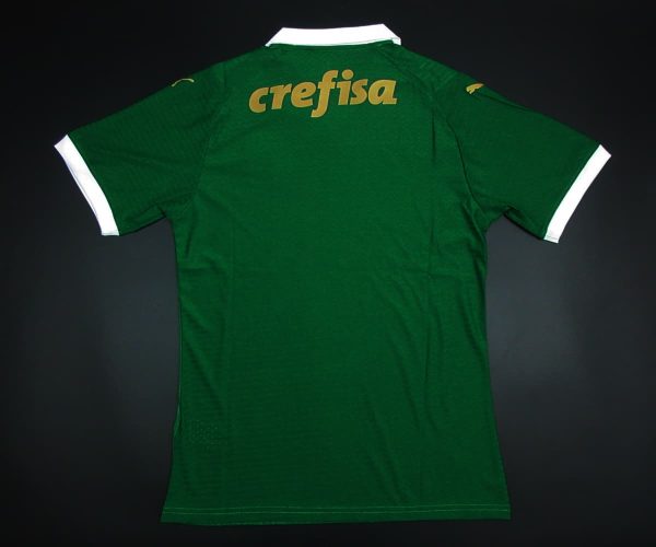 Camiseta Palmeiras 2024-2025 Local – Versión Pro Player