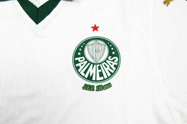 Camiseta Palmeiras 2024-2025 Visitante – Versión Pro Player