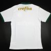 Camiseta Palmeiras 2024-2025 Visitante – Versión Pro Player
