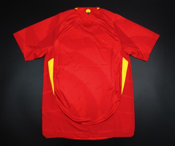 IMG_7619.jpg Camiseta España 2024-2025 Local – Version Pro Player