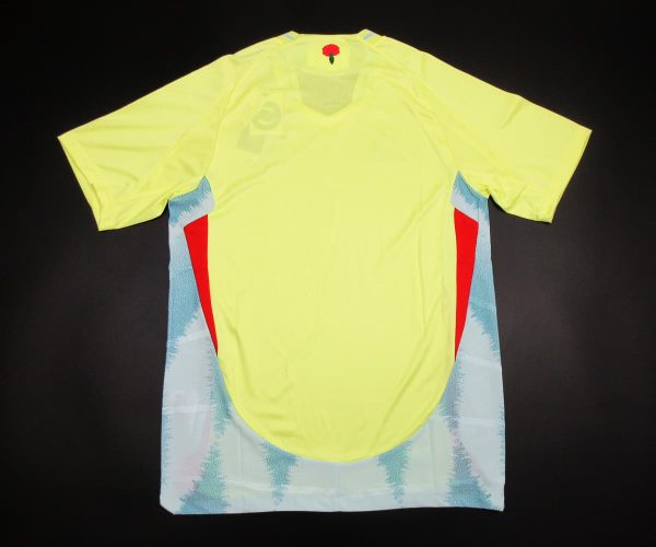IMG_7624.jpg Camiseta España 2024-2025 Visitante – Version Pro Player