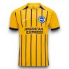Camiseta Brighton 2024-2025 Visitante