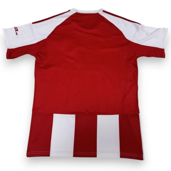Olympiacos-25-26-home-S-4XL-3.webp Camiseta Olympiacos 2025-2026 Local