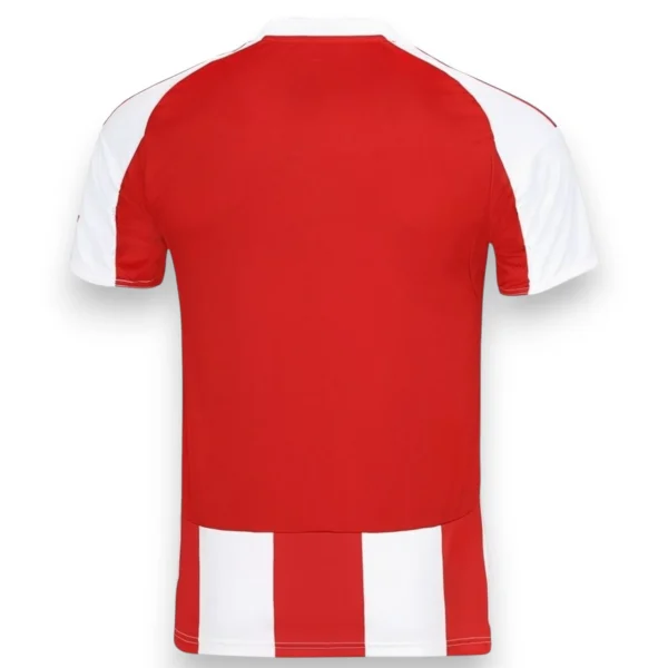 Olympiacos-25-26-home-S-4XL-4.webp Camiseta Olympiacos 2025-2026 Local