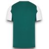 Camiseta Panathinaikos 2025-2026 Local