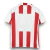 a46c1dd6-Photoroom.webp Camiseta Sporting Gijon 1980-1981 Local