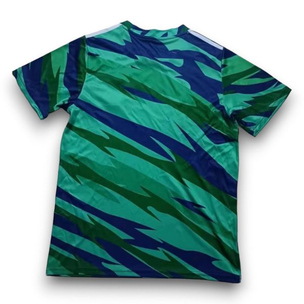 Camiseta Irlanda 2024-2025 Prepartido