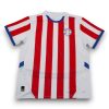 ae517f59.jpg Camiseta Paraguay 2024-2025 Local