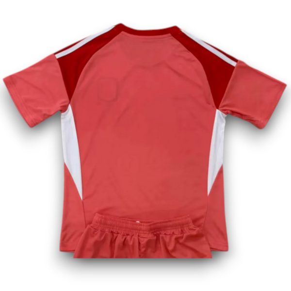 aston-villa-25-26-red-GK1-Photoroom.jpg Camiseta Aston Villa 2025-2026 Portero