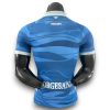 Camiseta Nápoles 2024-2025 Especial Pro Player