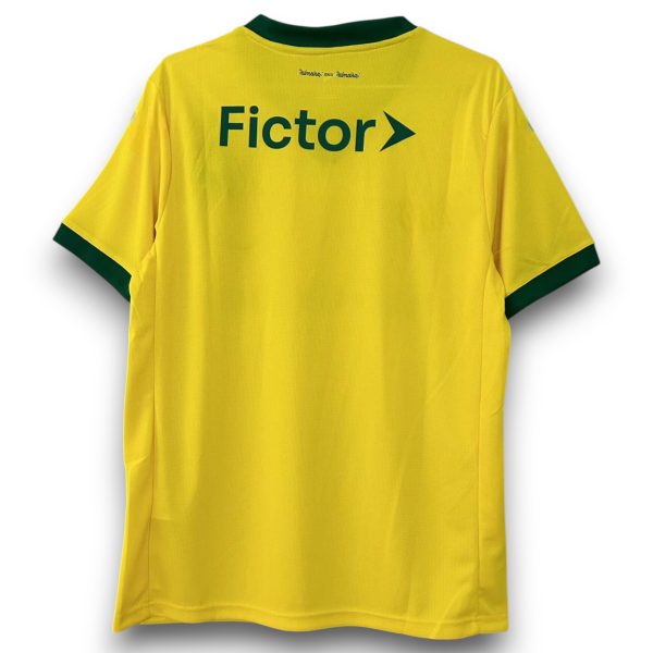 Camiseta Palmeiras 2025-2026 Alternativa