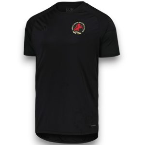 Camiseta Aston Villa 2024-2025 Especial