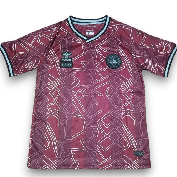 Camiseta Dinamarca 2024-2025 Especial
