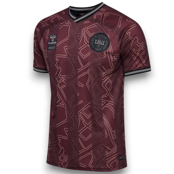 Camiseta Dinamarca 2024-2025 Especial