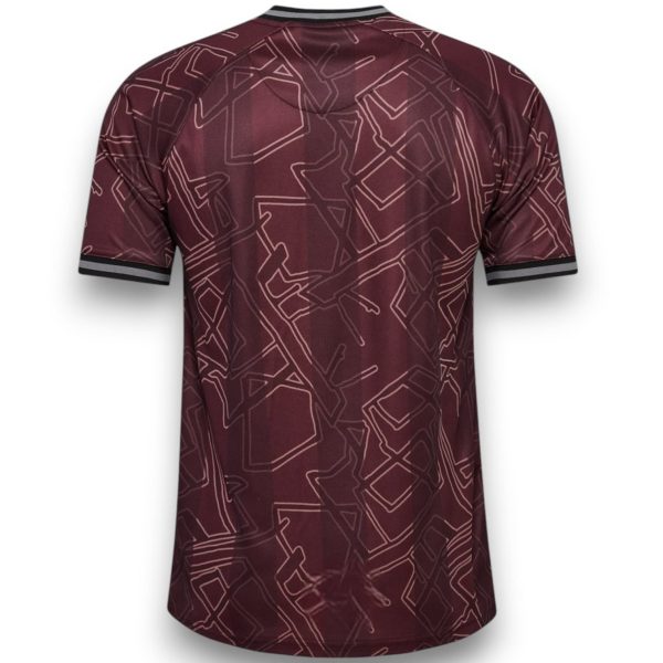 Camiseta Dinamarca 2024-2025 Especial