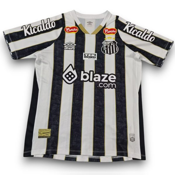 camiseta-santos-24-25-local-Photoroom-1.jpg Camiseta Santos 2024-2025 Visitante