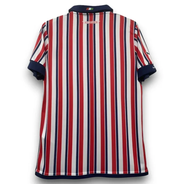 Camiseta Chivas 2018 Local Mundial