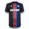 Camiseta Crystal Palace 2024-2025 Alternativa