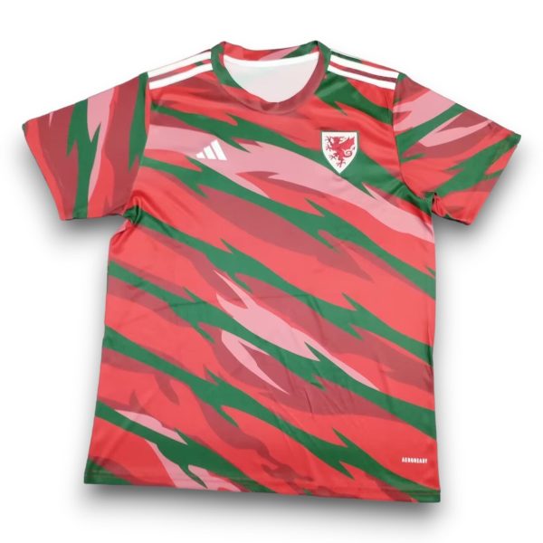 Camiseta Gales 2024-2025 Prepartido