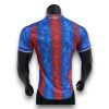 Camiseta Crystal Palace 2024-2025 Local – Version Pro Player