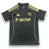 Camiseta Fulham 2025-2026 Alternativa