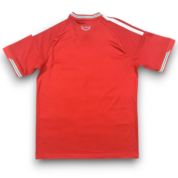 Camiseta Gales 2026 Local