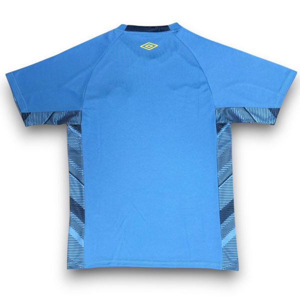 Camiseta Gremio 2025-2026 Portero Local