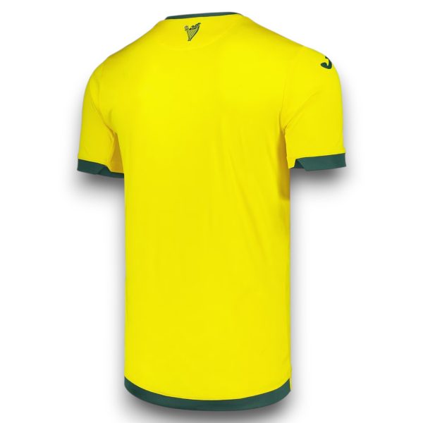 Camiseta Hibernian 2025-2026 Visitante