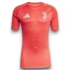 Camiseta Juventus 2025-2026 Local Portero