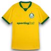 Camiseta Palmeiras 2025-2026 Alternativa