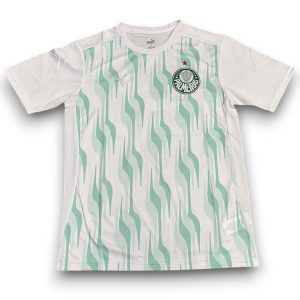 Camiseta Palmeiras 2025 Entrenamiento