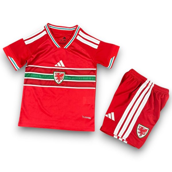 Camiseta Gales 2026 Local